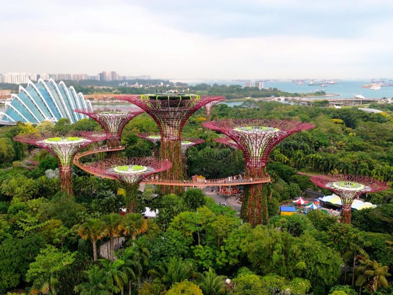 Gardens by the Bay Drone Shot